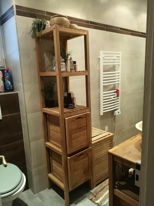 Appartement Le Bellevue Dans Maison De Maitre De 1920 Riedisheim Ngoại thất bức ảnh